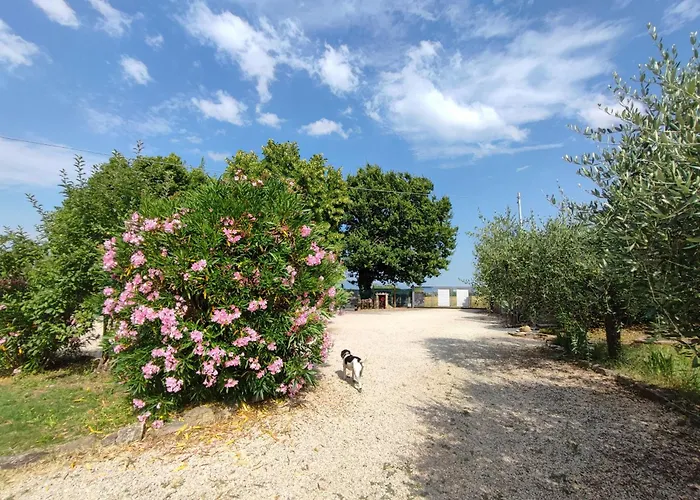 Casa vacanze Dimora Quercia - Oliva
